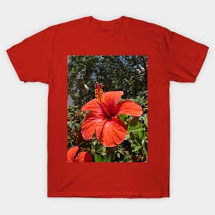 Red Hibiscus T-Shirt